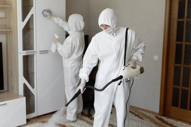 Best HVAC Mold Remediation in Hillsboro, TX