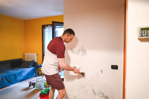 Best Post-Flood Mold Remediation in Hillsboro, TX